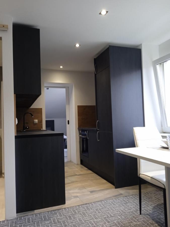 Patrick'S Place Lux Daire Ptuj Dış mekan fotoğraf